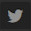Twitter icon